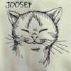 Kassi ja nimega pusa lastele