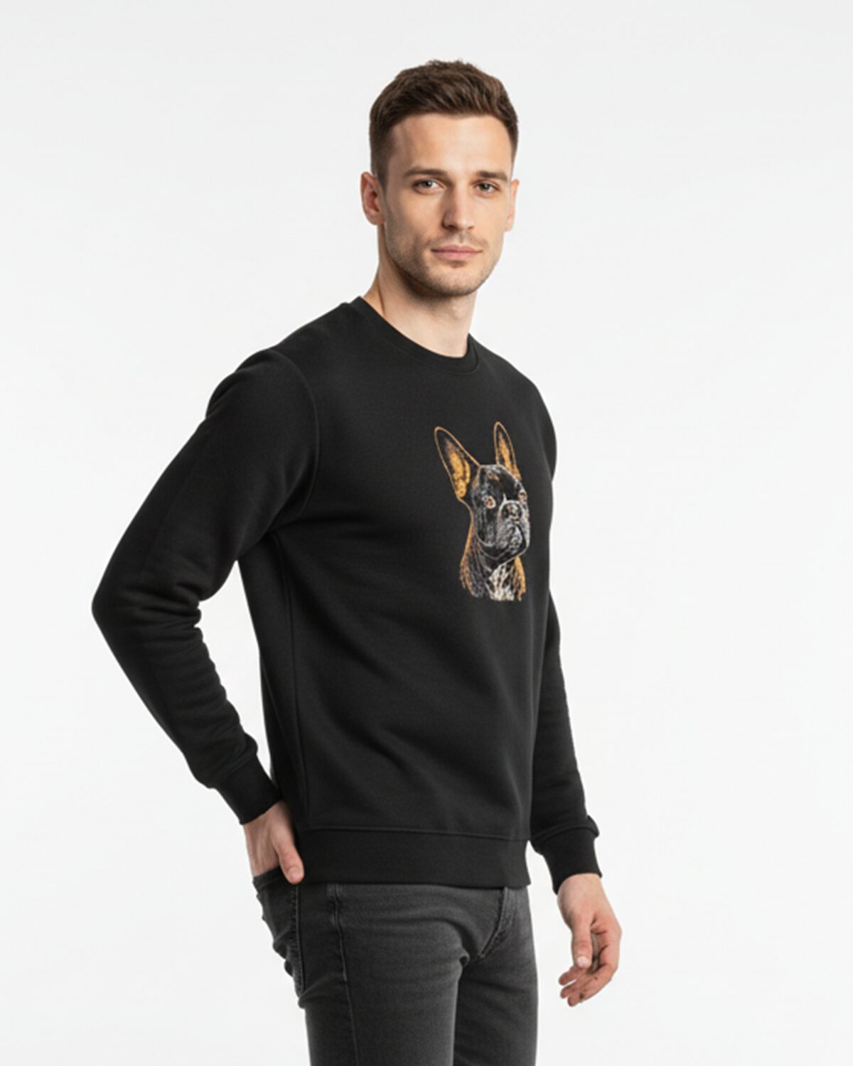 Meeste pusa Buldogi pildiga