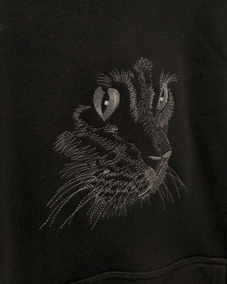 Kassiga pusa - Image 2