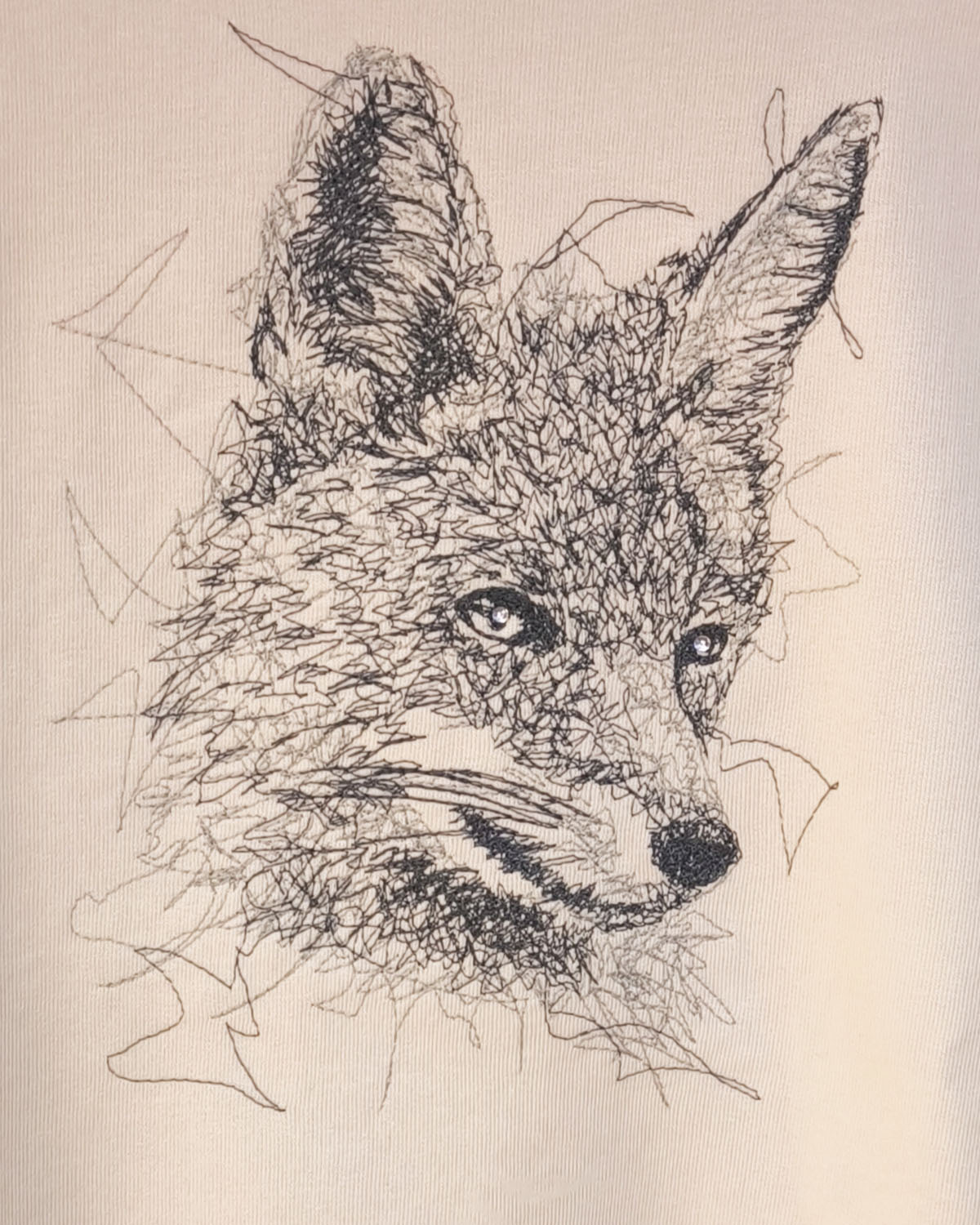 Pusa "kavalpea" - Image 2