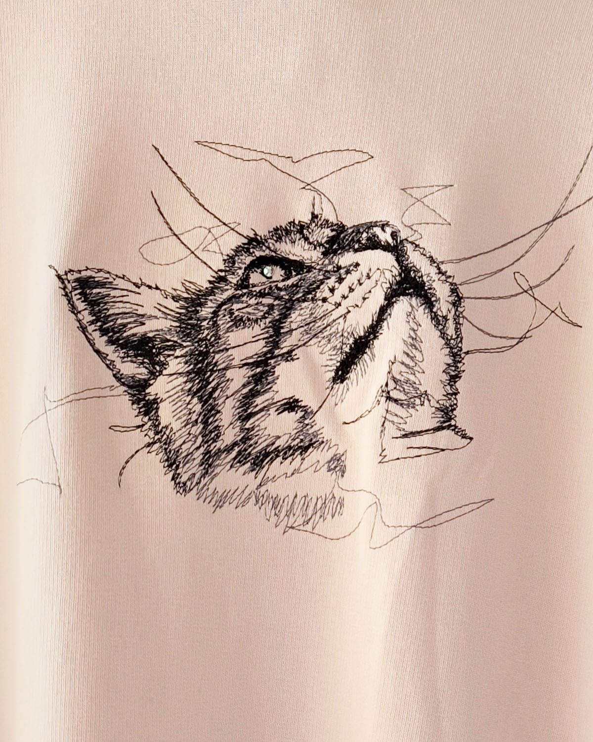 Kassipildiga pusa - Image 2